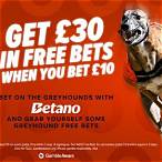 greyhound bet racing post